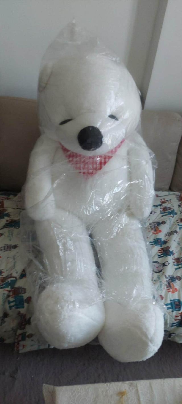 ตุ๊กตาหมีขาวกับผ้าพันคอแดง 3