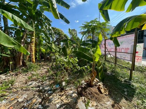 ขายที่ดินเปล่า 119 ตร.ว.ซอยคลองหลวง33 ต.คลองหนึ่ง อ.คลองหลวง จ.ปทุมธานี 10