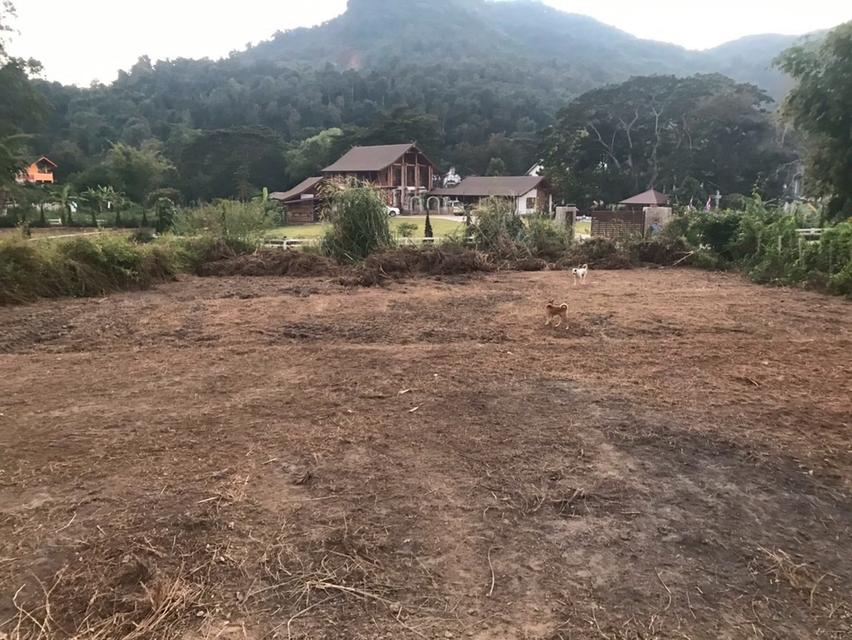 ขายที่ดินเชียงใหม่พร้อมสร้างบ้าน 8