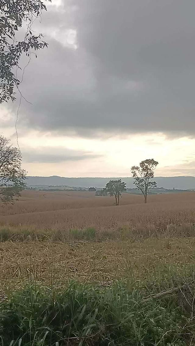 ที่ดินเปล่า ล้อมรั้วเรียบร้อย ถนน 3139 วังน้ำเขียว 14