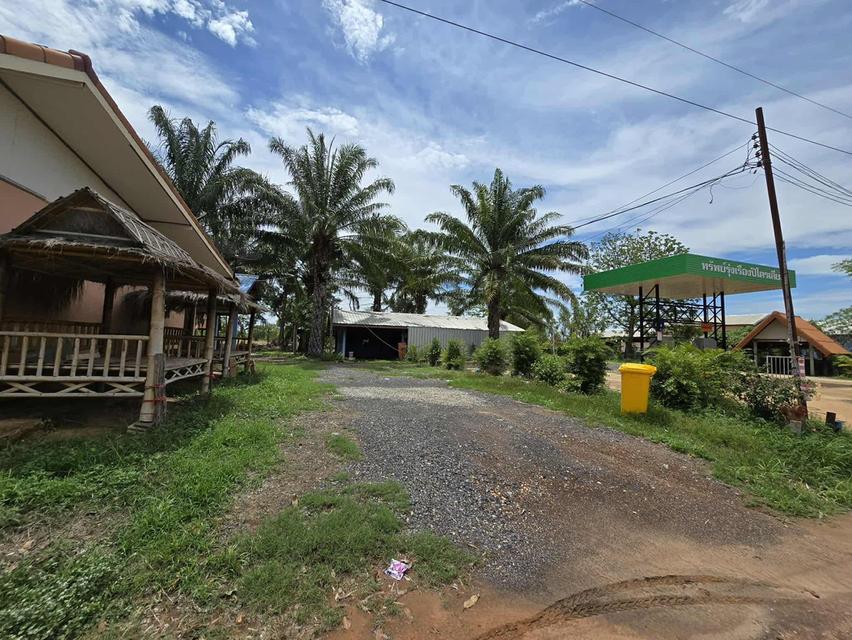 บ้านพร้อมที่ดินขายราคา 3.5 ล้าน 2