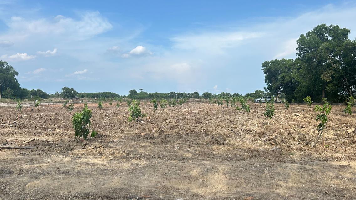 ขายที่ดินขนาด 4 ไร่ ใกล้สนามบินสุวรรณภูมิ  ตำบลคลองสวน อำเภอบางบ่อ จังหวัดสมุทรปราการ 3