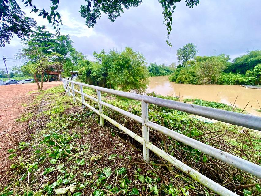 ขายที่ดิน 1 งาน 49 ตารางวา (บางแฟบ หาดใหญ่) 8