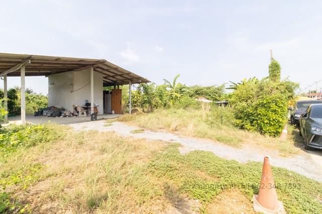 ขายที่ดินทำเลทอง ต.คลองใหม่ สามพราน นครปฐม ติดถนน 2 ด้าน 4