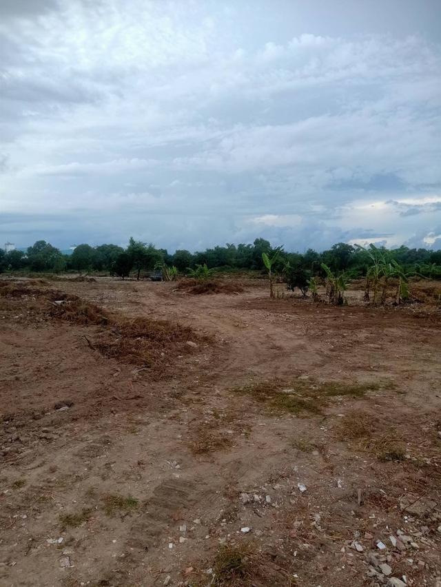 ‼️ขายที่ดินพัทยา ชลบุรี เจ้าของขายเอง🌳 ✅ 8 ไร่ 2 งาน (ราคาคุยกันได้ครับ) 5