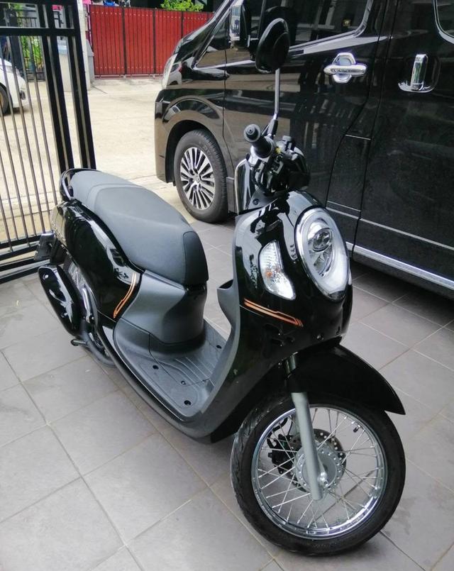 Honda Scoopy i Prestige ปี 21 จังหวัด ชลบุรี 2