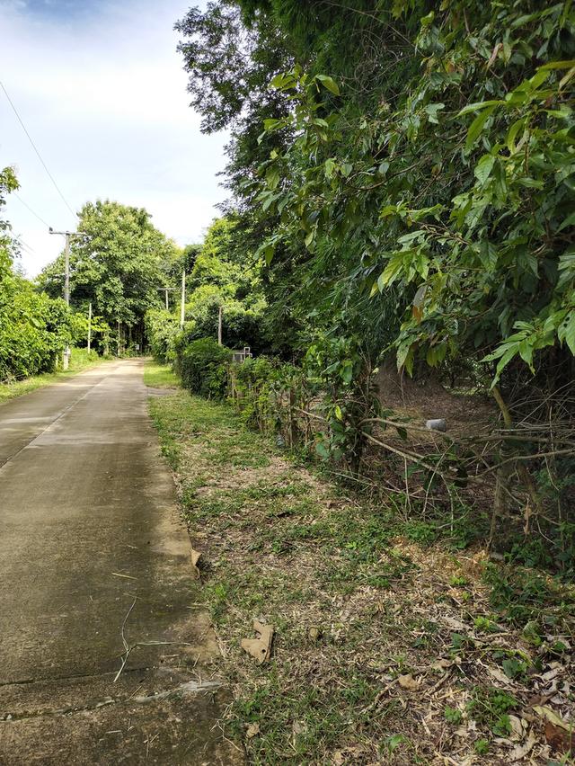 ที่โฉนดครุฑแดง2ไร่ จังหวัดน่าน สำหรับสร้างบ้านหรือบ้านสวน