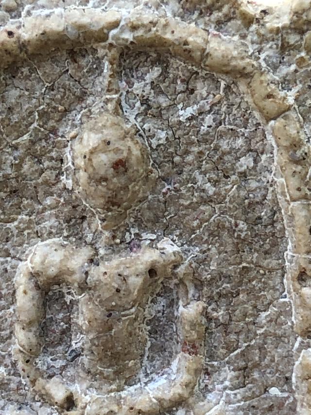 พระสมเด็จวัดระฆังพิมพ์ใหญ่ รูปที่ 11