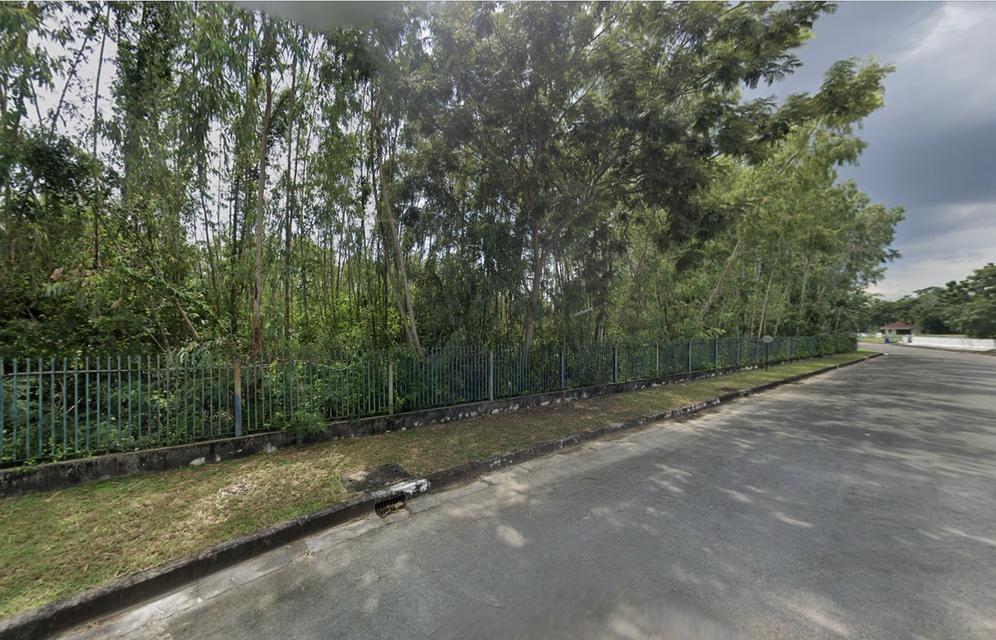 ขายที่ดินเปล่า ทำเลดี ติดสนามกล็อฟ eastern star ตำบลพลา อำเภอบ้านฉาง จังหวัดระยอง 5