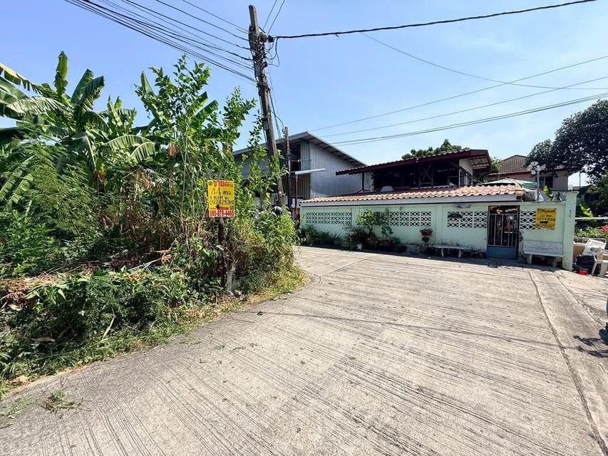 Vายด่วนที่ดิน 44 ตารางวาติดถนนคอนกรีตสาธารณะ แปลงมุม ชอย พระยาสุเรนทร์ 25 แขวงบางชั้นกรุงเทพมหานคร 6