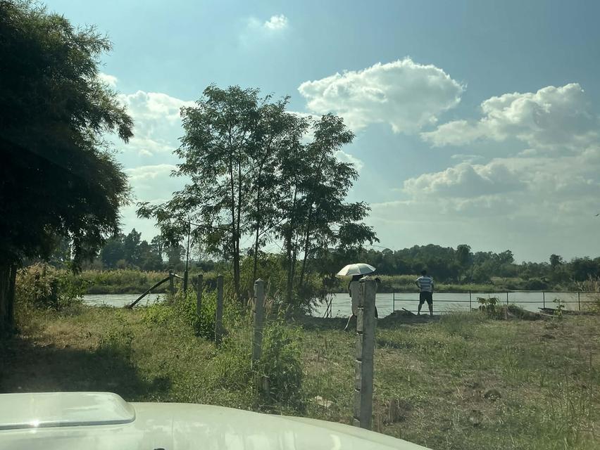 ขายที่ดินติดริมน้ำปิงกำแพงเพชร 10