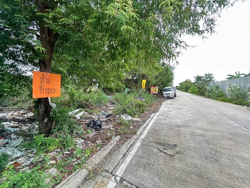 ขายที่ดิน 100 ตรว ติดถนนคอนกรีต ถมแล้ว ซ.หมู่บ้านจิตรัตนา บางบัวทอง นนทบุรี 4