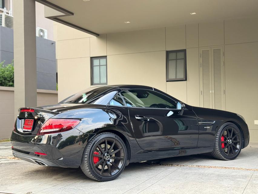 Slc43 AMG