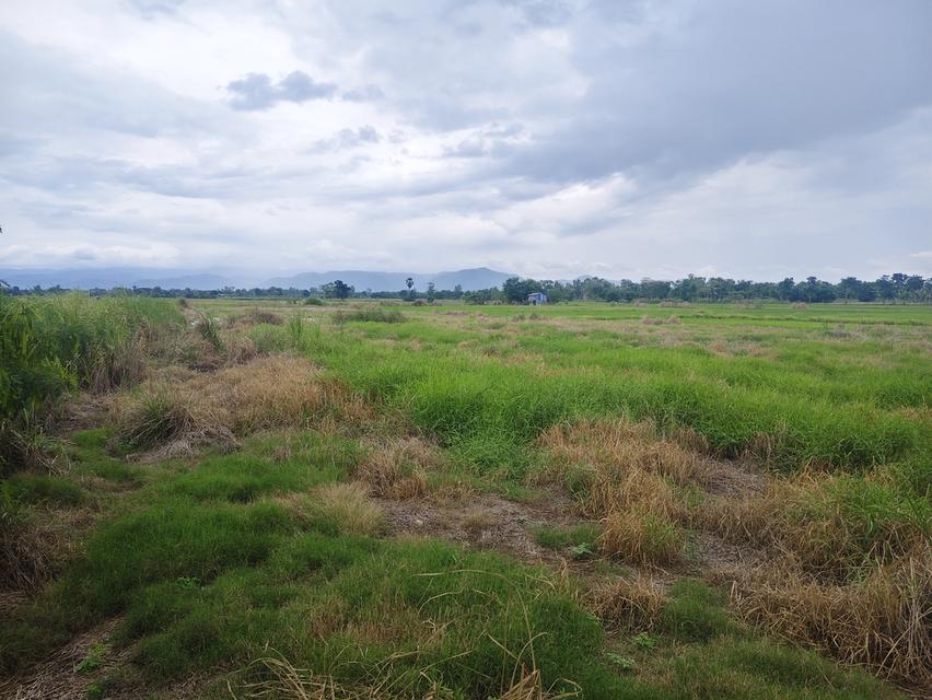 ที่ดินที่นาติดคลองมีน้ำตลอดปี 2