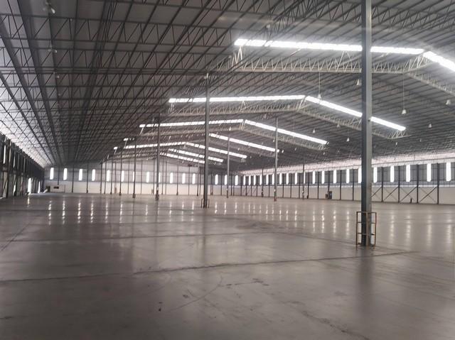 ให้เช่าโรงงานคลังสินค้าศรีราชาชลบุรี ให้เช่าโรงงานคลังสินค้าชลบุรี พื้นที่ใช้สอย 14,000 ตรม ผังม่วงลาย สามารถขอใบรง.4 ได 7