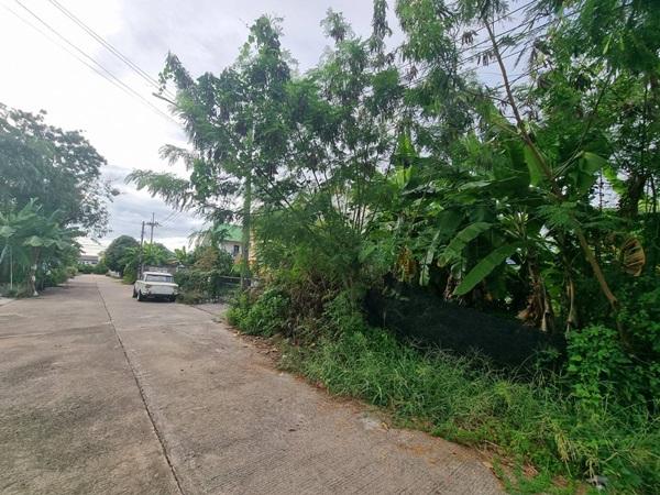 ขายที่ดินเปล่า 70ตรว. คลอง11 หมู่บ้านนริศรา ซ.4 ถูกกว่าราคาประเมิน เจ้าของขายเอง โทร 0969654945 3