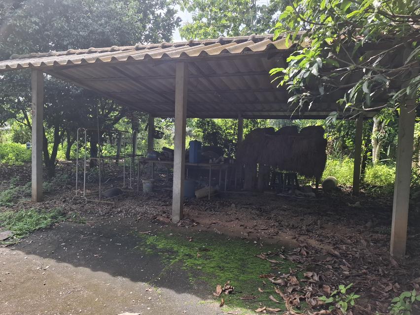 ขายบ้านพร้อมที่ดินฉโหนดพร้อมโอน 6