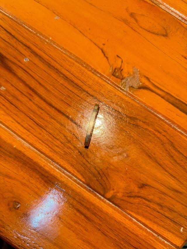 เหรียญ 10 บาท ปี 2549 รูปที่ 3