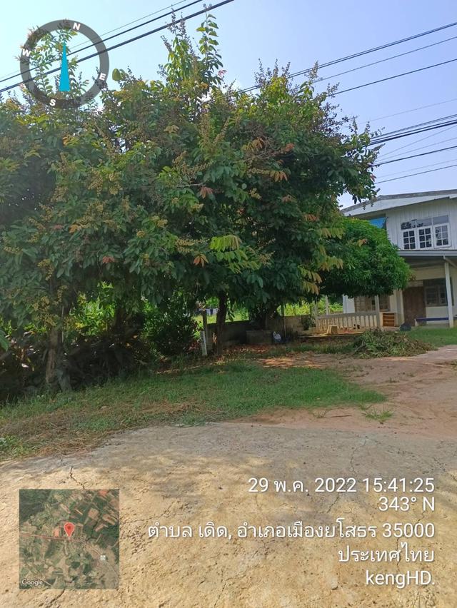 ที่ดิน