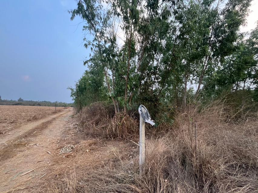 📣ขายที่ดินโฉนด  ตำบลอ่างหิน อำเภอปากท่อ  จังหวัดราชบุรี ⛰️ 11