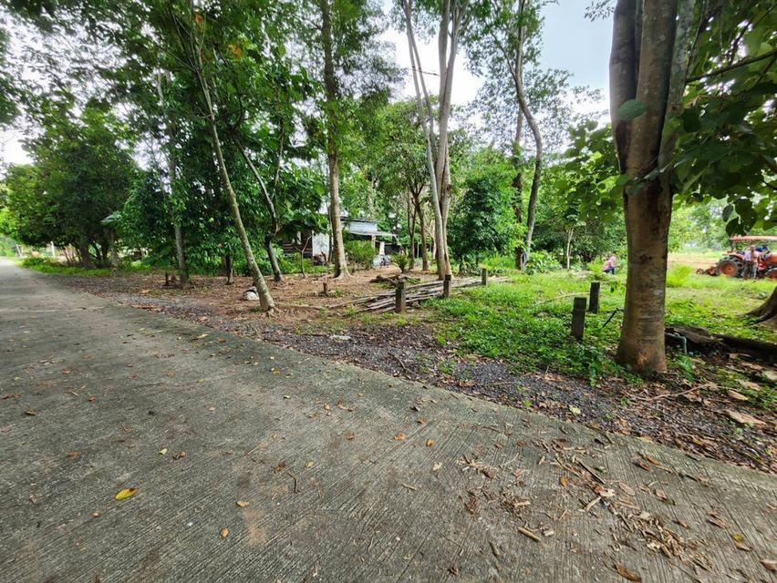 ที่ดินติดแม่น้ำนครนายก 14