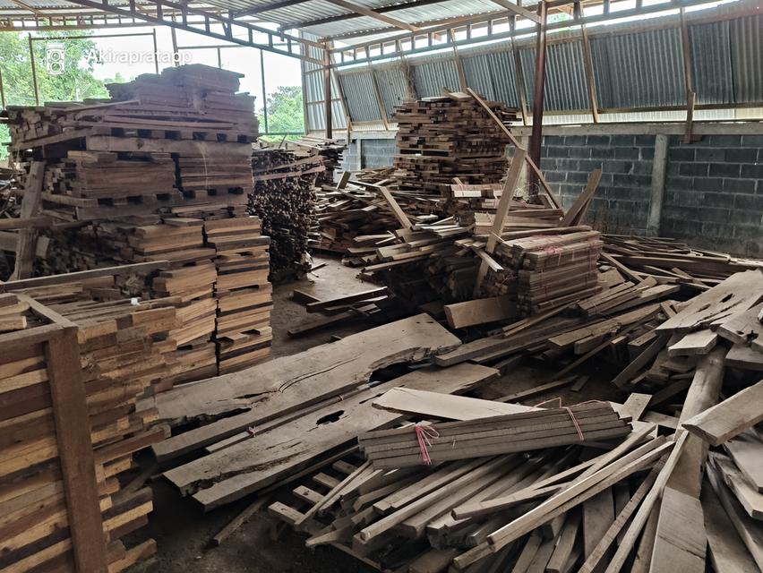 กิจการโรงไม้พร้อมเครื่องจักรทำไม้ 15