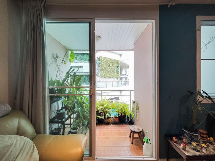 Serene Place Sukhumvit 24 18