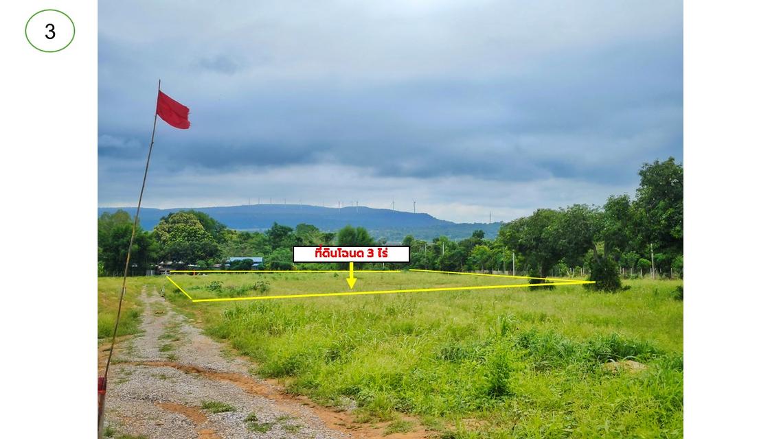 ขายที่ดินโฉนดครุฑแดง 4