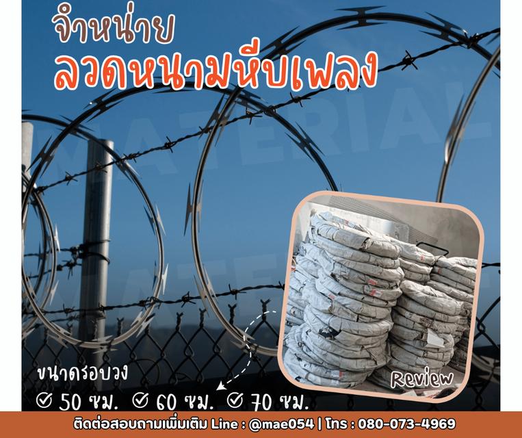 ลวดหนามหีบเพลง