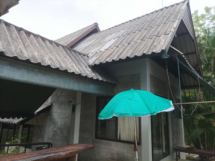 ขายบ้านพร้อมที่ดิน ต.ป่าป้อง อ.ดอยสะเก็ด จ.เชียงใหม่ 10