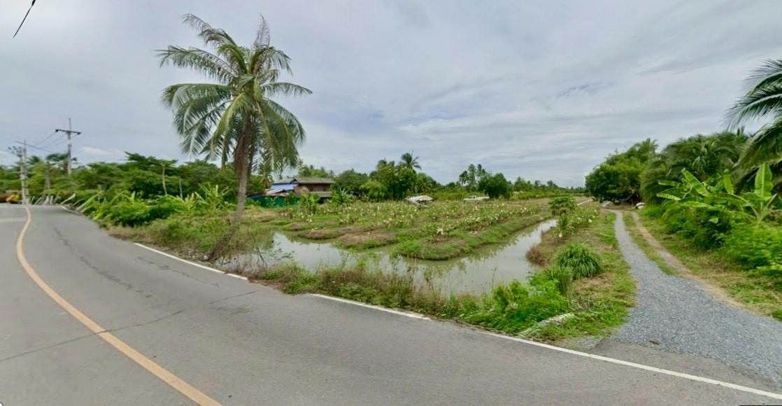 ขายที่ดินสวนผลไม้ อำเภอสามพราน ตำบลคลองจินดา นครปฐม 25 ไร่ (N.1737) 1