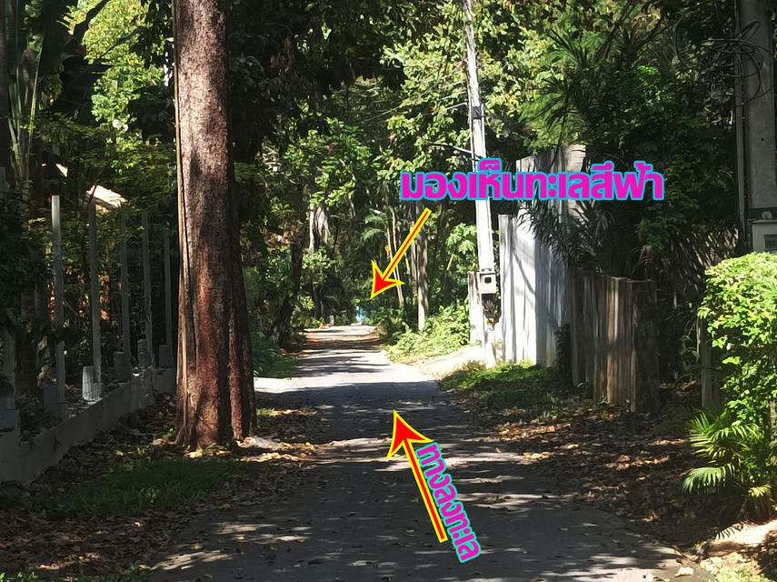 พูลวิลล่า ใกล้ทะเล พัทยา ชลบุรี 12