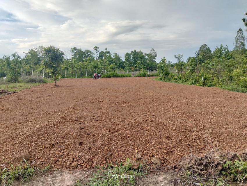 ขายที่ดินเปล่า 1งาน ต.ท่าแร่ สกลนคร 4