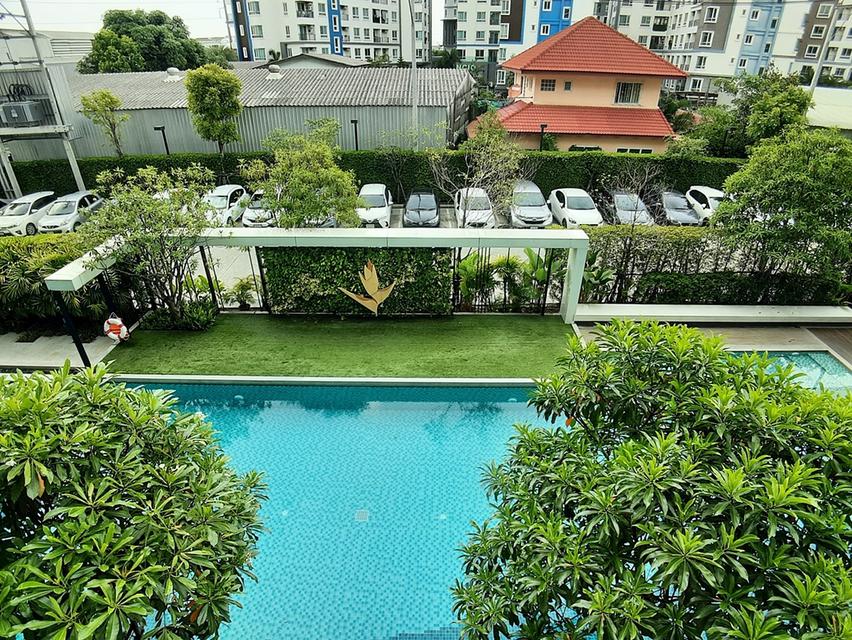 Condo