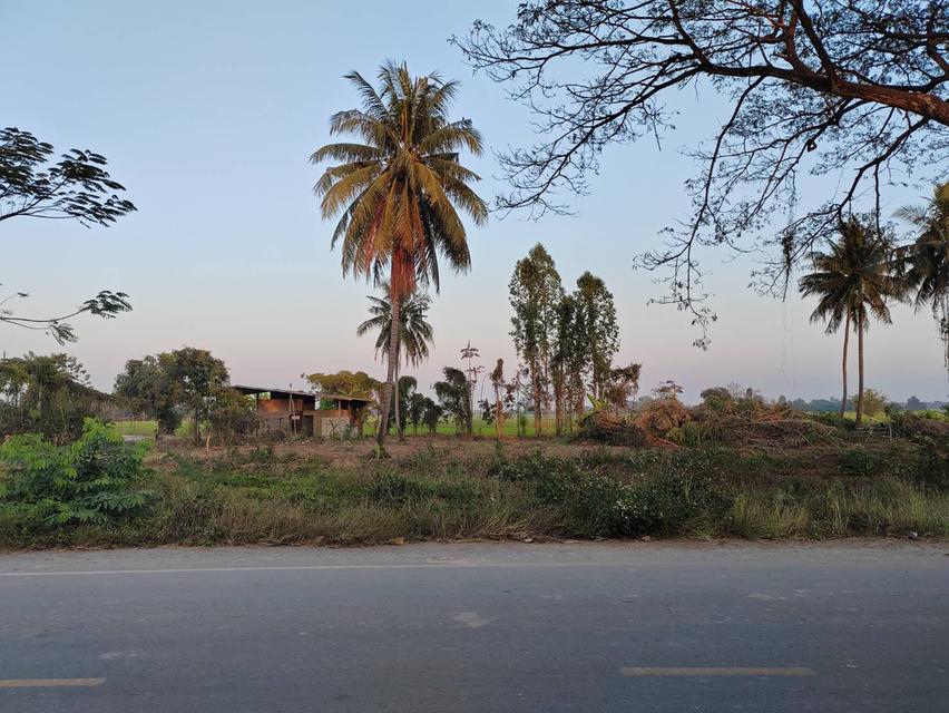 ขายที่ดินหน้ากว้าง รูปทรงชายธง ทำเลดีมาก – ต.ย่านยาว อ.เมือง จ.พิจิตร 2