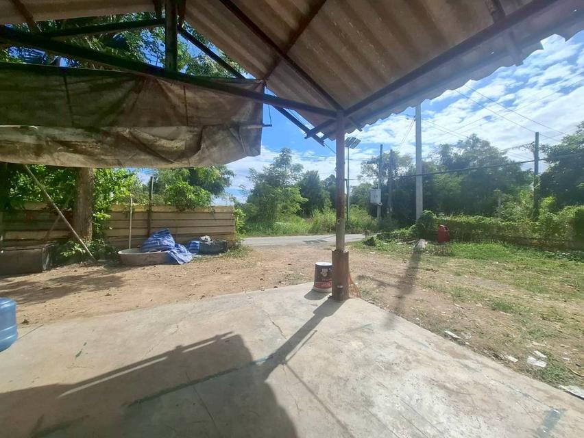 ขายบ้านชั้นเดียวพร้อมที่ดินเนื้อที่เยอะ บ้านห้วยกลางนาหมู่ 2 หนองแค สระบุรี 6