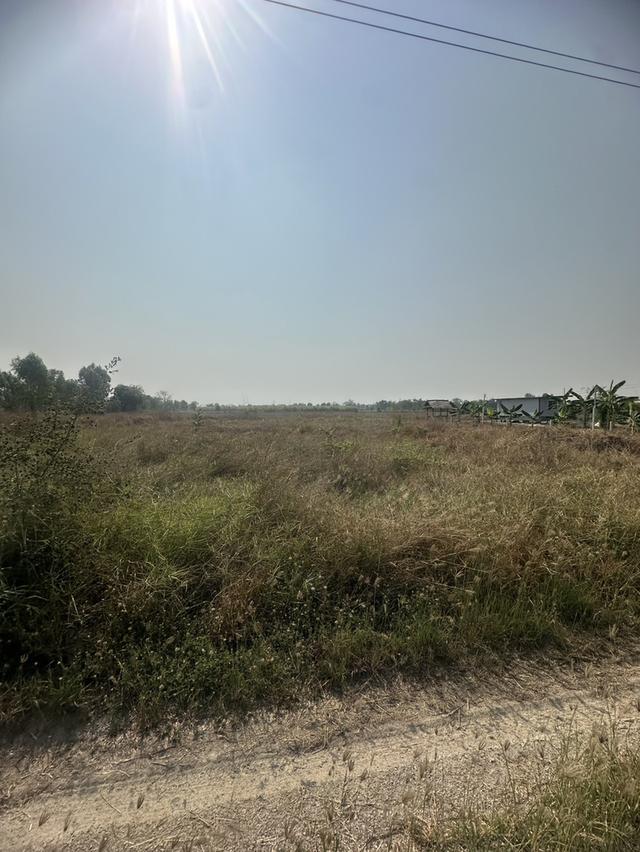 ที่ดิน 1ไร่ อำเภอหนองหญ้าไซ สุพรรณ 3