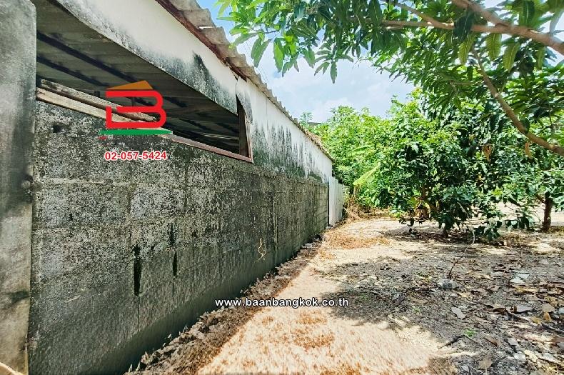 ขาย/เช่า ที่ดินเปล่า เลี่ยงเมืองปากเกร็ด 41 เนื้อที่ 149 ตร.ว (ใกล้โรงเรียนชลประทานวิทยา) ตำบลบางตลาด อำเภอปากเกร็ด จังหวัดนนทบุรี 7
