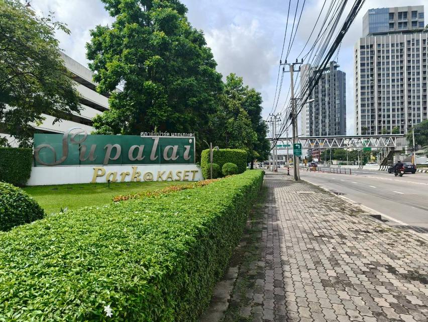 ขายคอนโด Penhouse คอนโด ศุภาลัย ปาร์ค แยกเกษตร 144 ตร.ม., 3 นอน, 2 น้ำ, 1 จอด, ใกล้ ม.เกษตร และ BTS เดินทางสะดวก 8