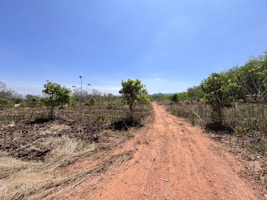 ขายที่ดิน วิวภูเขา⛰️📍จำนวน4ไร่  = 2แปลงติดกัน*แปลงที่1 (2ไร่)*แปลงที่2 (2ไร่)📍ราคาไร่ละ350,000 บาทเอกสาร  นส4จฟรีโอนกรรมสิทธ์ บรรยากาศดี วิวสวย สงบ 7