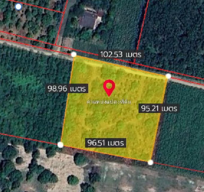 ขายที่ดินวังเย็น 6 ไร่ ซอยหลังโรงงานวรพร ใกล้ถนนเส้น3010-800เมตร อ.แปลงยาว ฉะเชิงเทรา 4