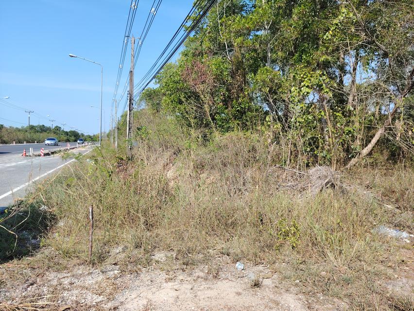 ที่ดินติดถนนสุขุมวิทแหลมสิงห์ 1