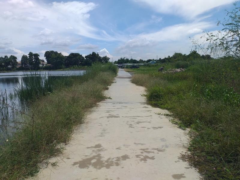 ขายที่โฉนด จำนวน 1 งาน 92 ตรว ที่ดินสี่เหลี่ยมสวย รังสิต ปทุมธานี 11