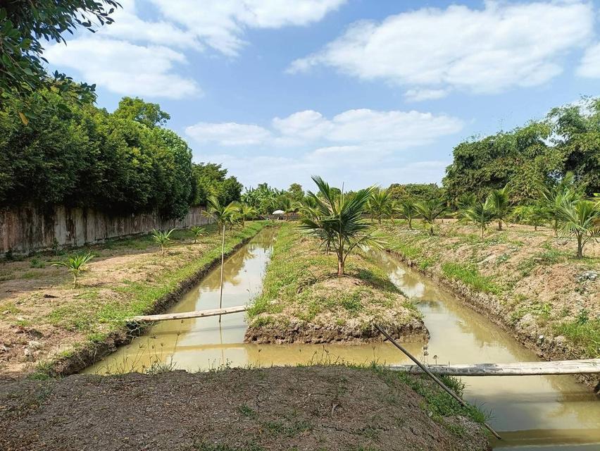 ขายที่ดินสำหรับสร้างบ้านอยู่อาศัย โกดัง หรือเพื่อการลงทุน สมุทรสาคร 3