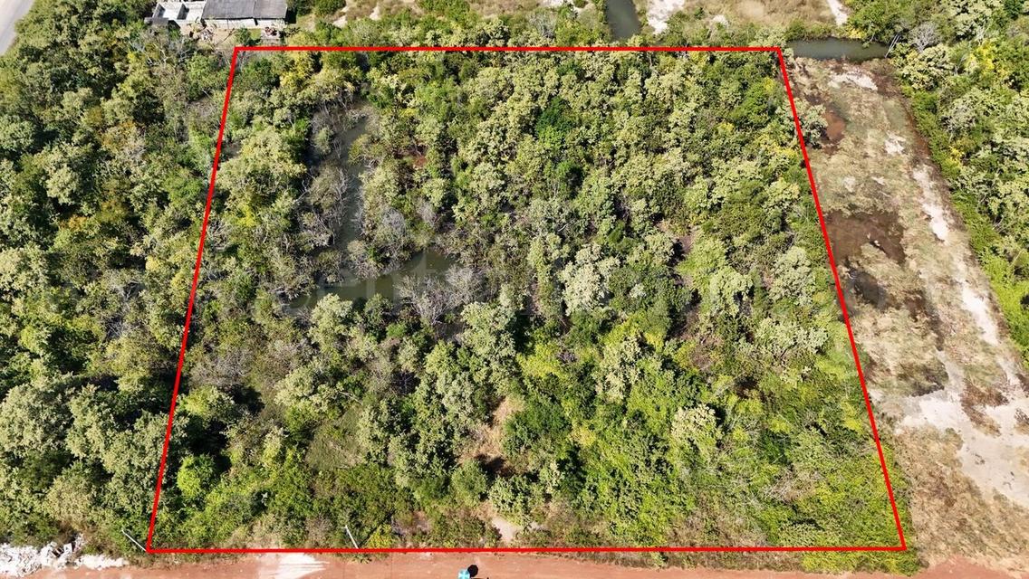 ที่ดินเปล่า 4 ไร่ แบ่งขายได้แปลงละ 1 ไร่ บางปะกง - ฉะเชิงเทรา ราคาถูก 5