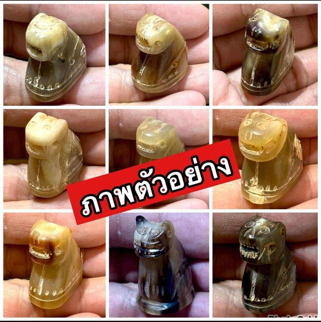 เสือแกะจากเขาควายเผือก หลวงพ่ออเปิ่น รูปที่ 5