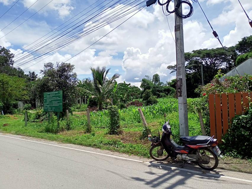 ขายที่ดินด่วน 1