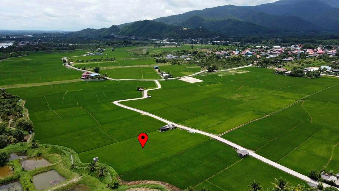 ที่ดินวิวสวย จอมทอง เชียงใหม่ 3