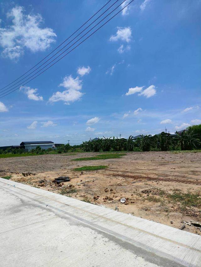 ที่ดินและโกดัง  2