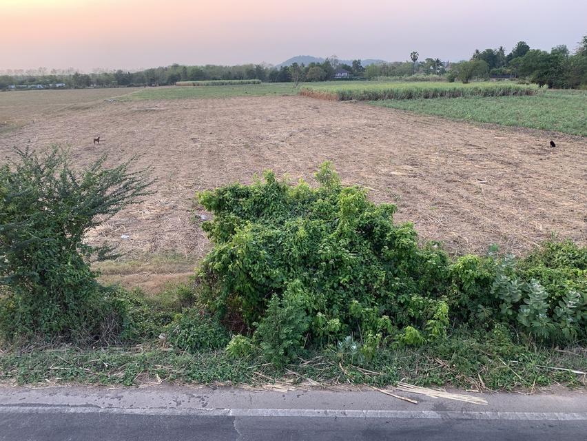 ที่ดินติดถนนโพธาราม 20 ไร่ 2